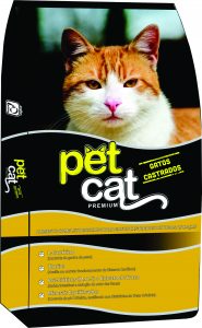 Pet Cat gatos castrados